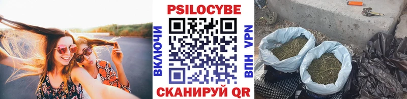 Галлюциногенные грибы GOLDEN TEACHER  Дмитров 
